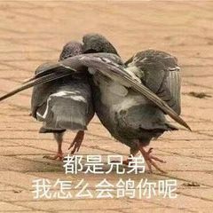128baed13e9a94c6.jpg