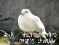5dc504c01443b353.png