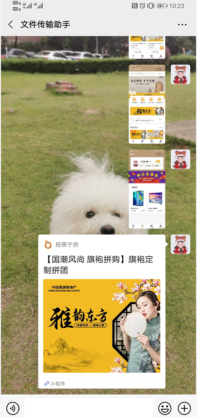图片.png