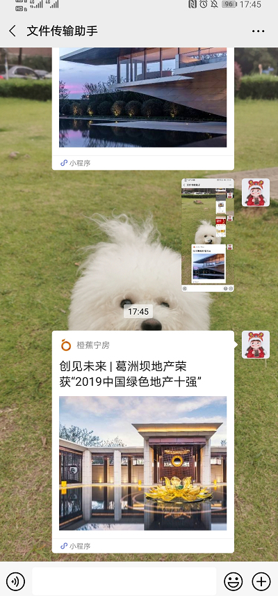 图片.png