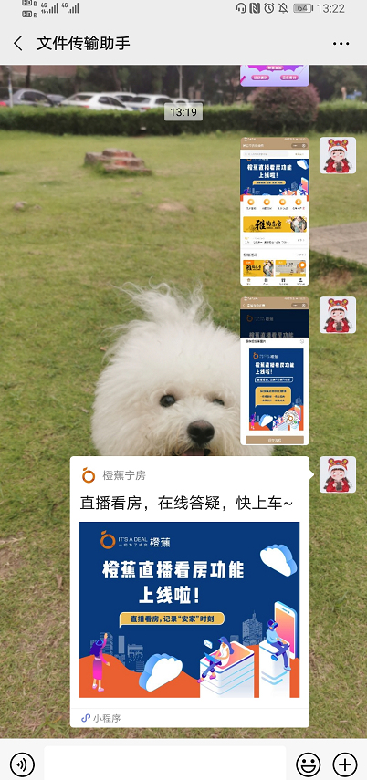 图片.png